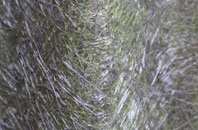 Dymock fibreglass roof work